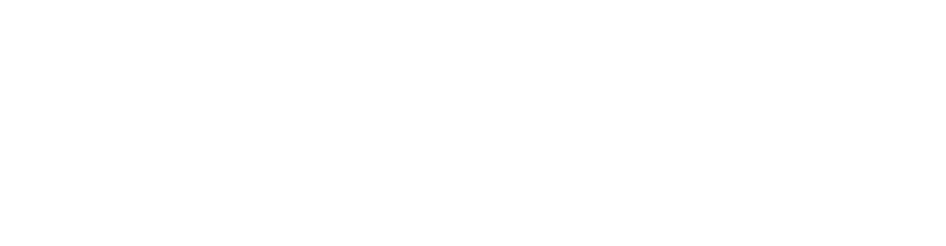 ServiceTonic Service Management Software version 9 ServiceTonic Service Management Software version 9