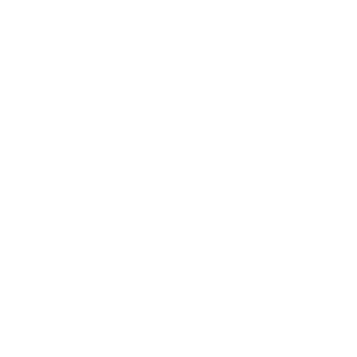 Optimización CI