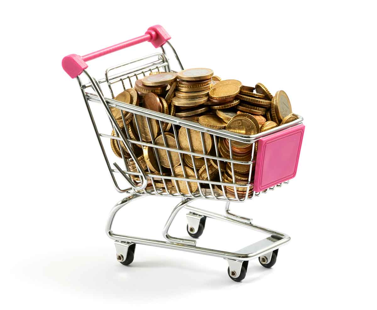 Fixed costs Help Desk IT services Fixed costs Help Desk Software